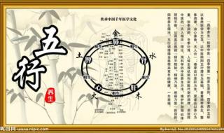 辛酉年生石榴木命 辛酉年生石榴木命